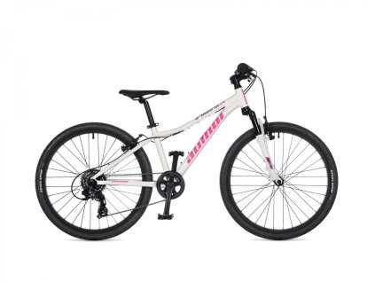 42963521 a matrix 24 n