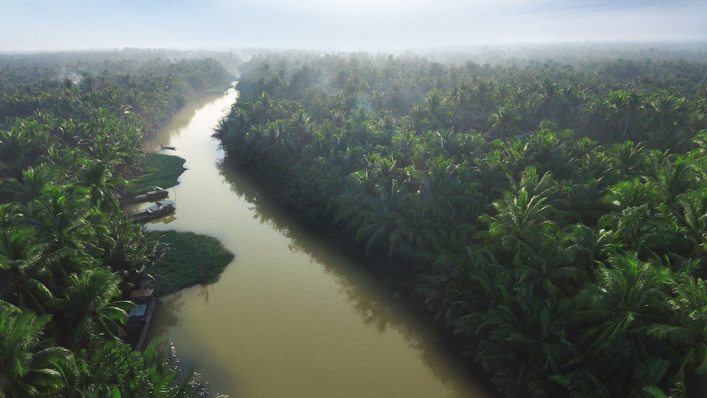 WHERE DO OUR COCONUTS COME FROM?