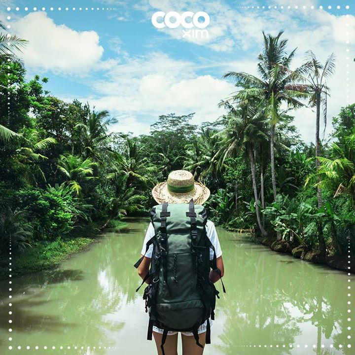 DISCOVER COCOXIM