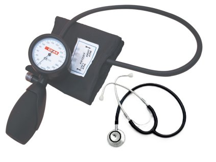 palm st prof1