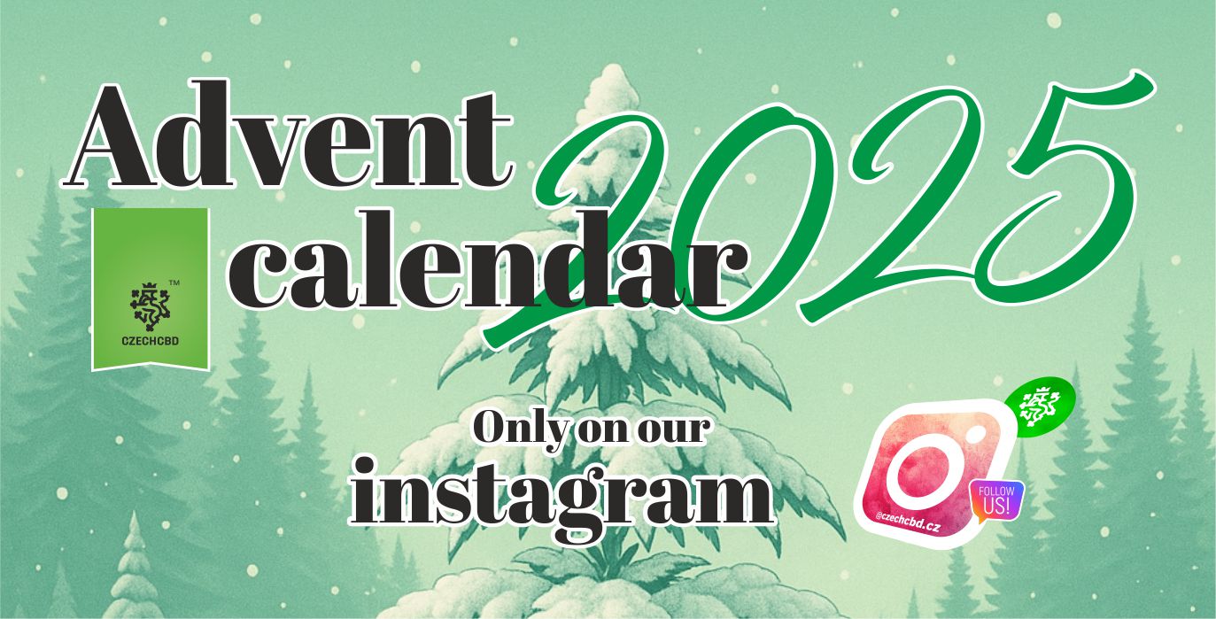 Adventni kalendar 2025 DE