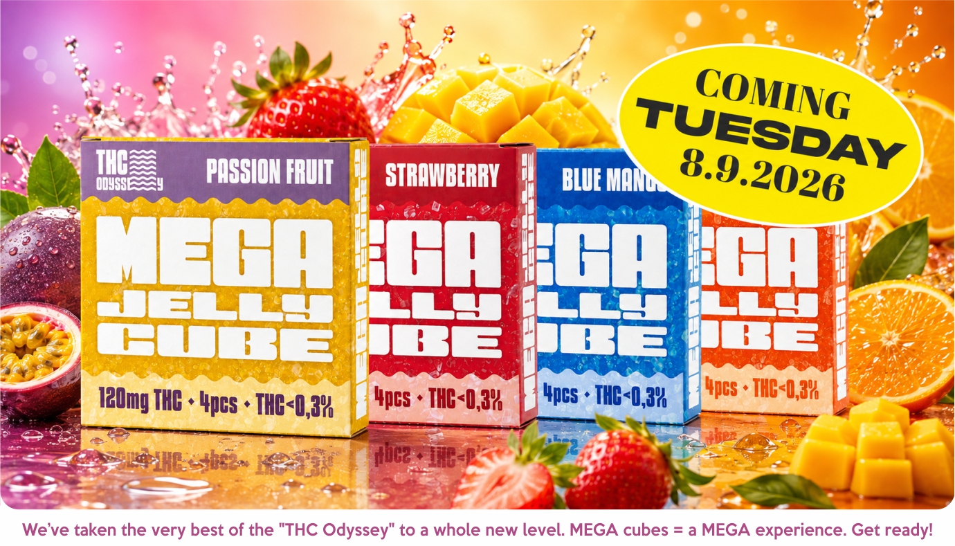 MEGA CUBEs coming en