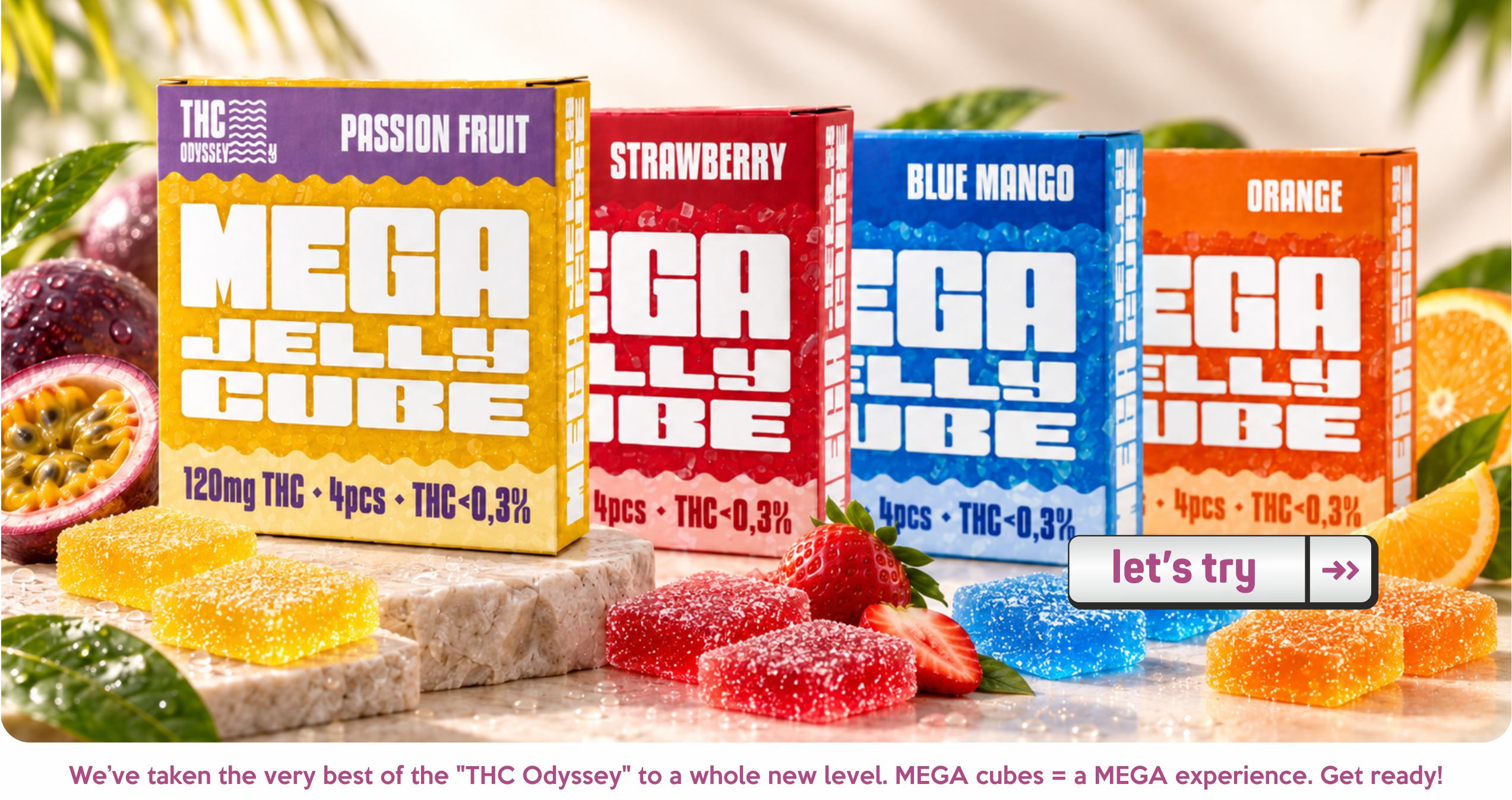MEGA CUBEs en