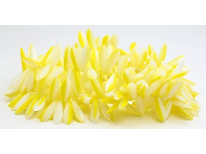 Pressed - Leaves - Tongue