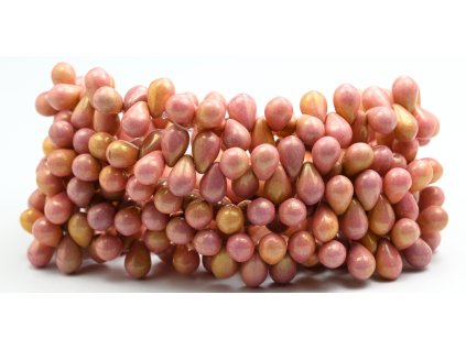 PRE69004 69 02010 14495