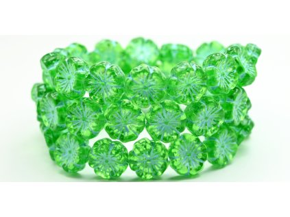 PRE01202 14 50400 54308