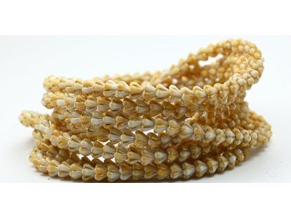 PRE00240 66 07104 54202