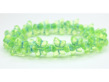 PRE01233 2012 80130 54323 URAN