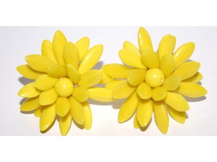 Earrings - Clip