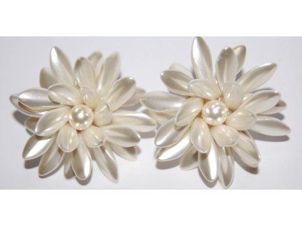 Earrings - Clip