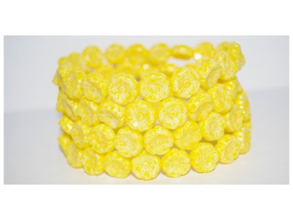 Hawaii flowers - 12mm