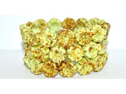 Hawaii flowers - 14mm