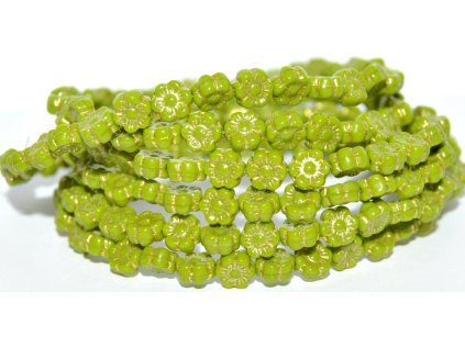 Hawaii flowers - 6mm