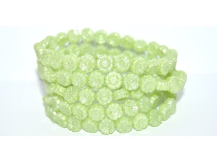 Hawaii flowers - 8mm