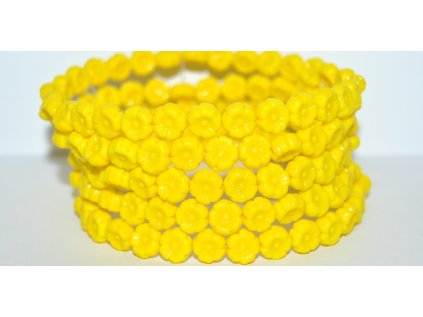 Hawaii flowers - 8mm