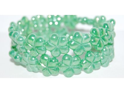 Flowers- Pressed 17mm