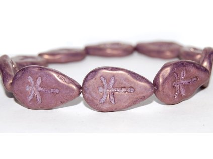 Dragonfly on the leaf