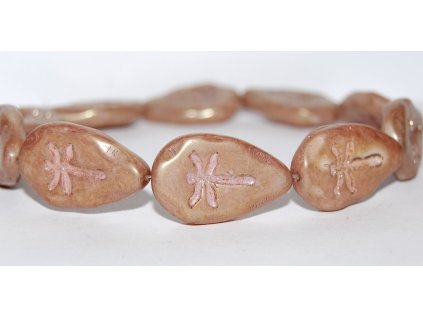 Dragonfly on the leaf