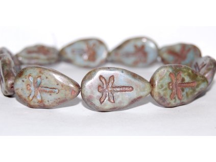 Dragonfly on the leaf