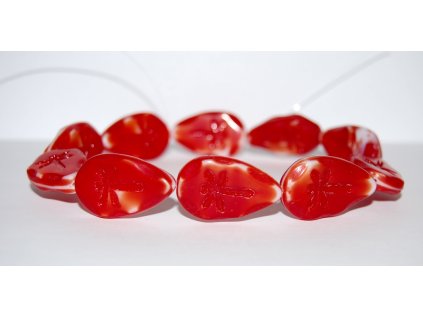 Dragonfly on the leaf