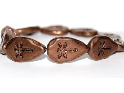 Dragonfly on the leaf