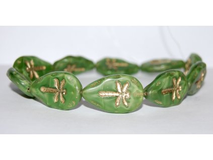 Dragonfly on the leaf