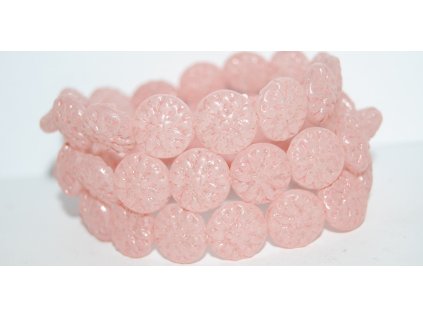 Pressed -Flowers-15mm