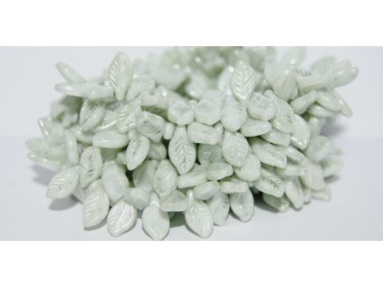 Pressed Leaves 12x6mm