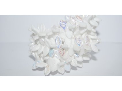 Pressed Leaves 12x6mm