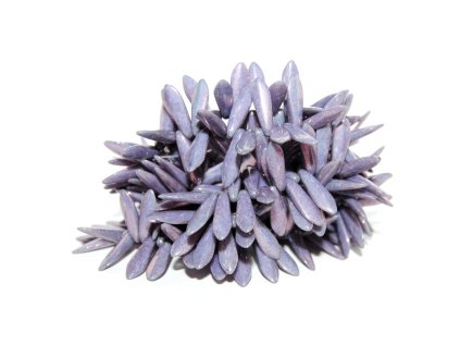 Pressed - Leaves - Tongue