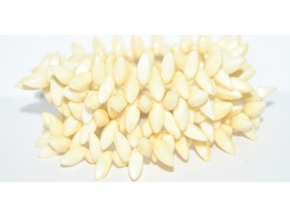 Pressed Leaves 12x6mm