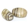 Lamp Beads 22x13mm