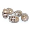 Lamp Beads 16x10mm