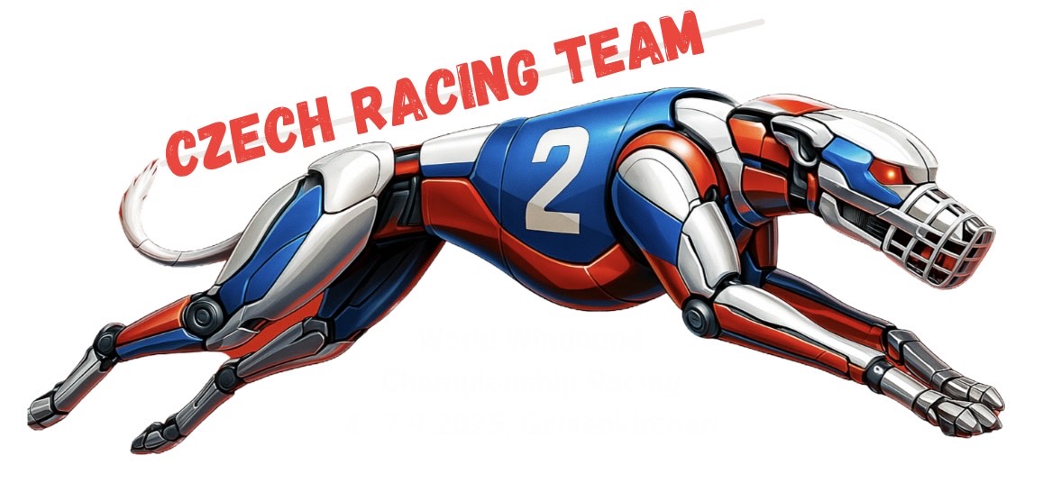 Czech Racing Team