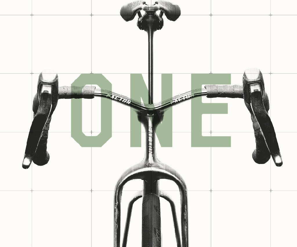 Factor ONE