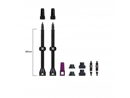 DY 095 Barkeeper Tubeless Valves 80mm Pack