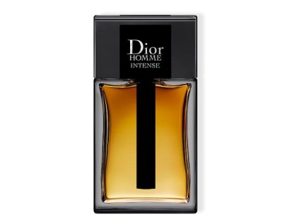 homme intense