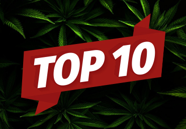 TOP 10 PŘÍNOSŮ Z CBD