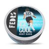 FEDRS Ice Cool Hard Mint 10