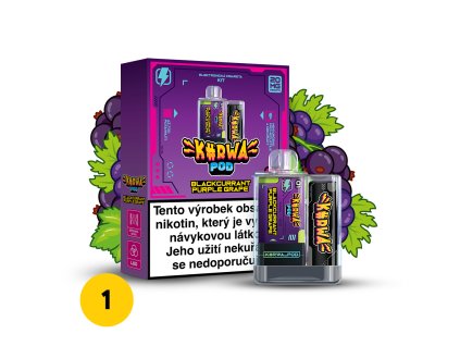 KIT box composition Blackcurrant Purple Grape 2 cislo
