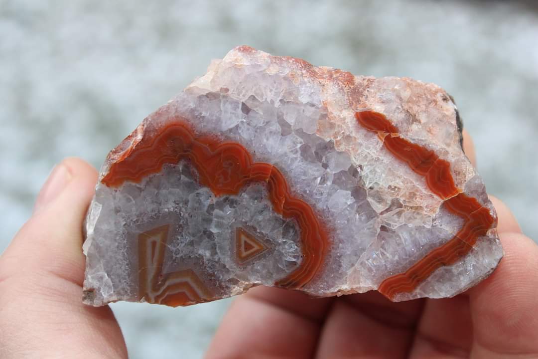 FB_IMG_1639551233123