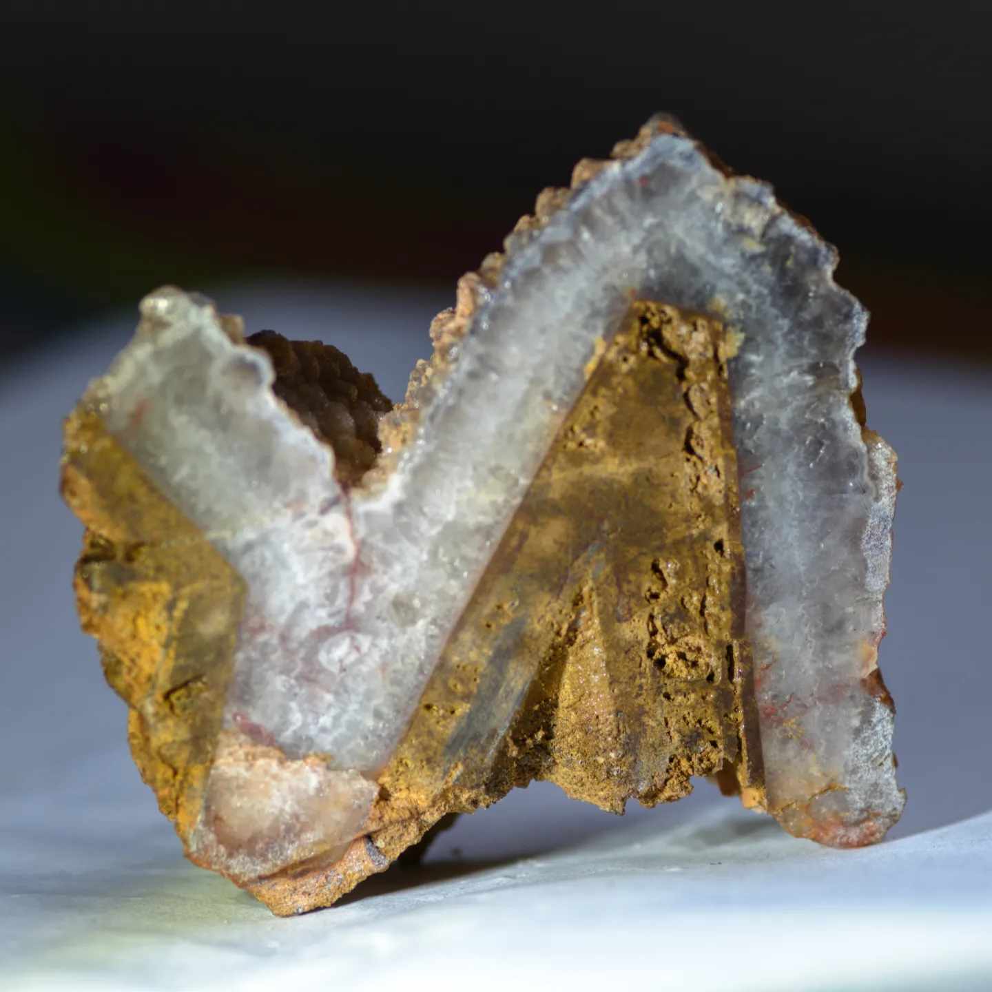 Messenger_creation_51ee560a-6d88-4304-a5c1-d56c387d9260