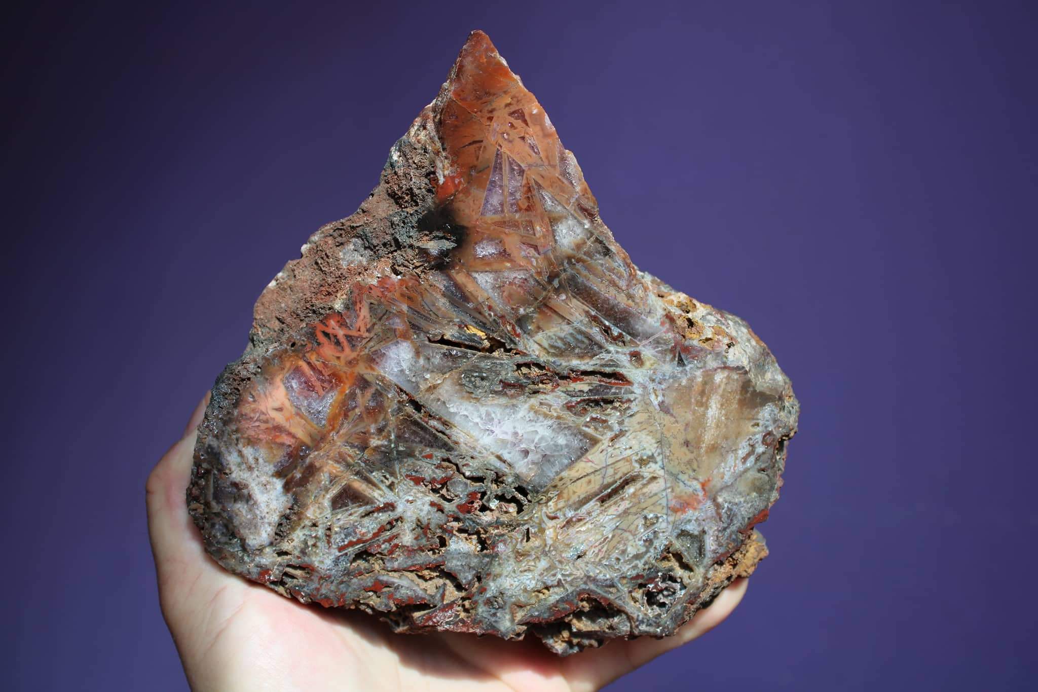 received_1508420482956969