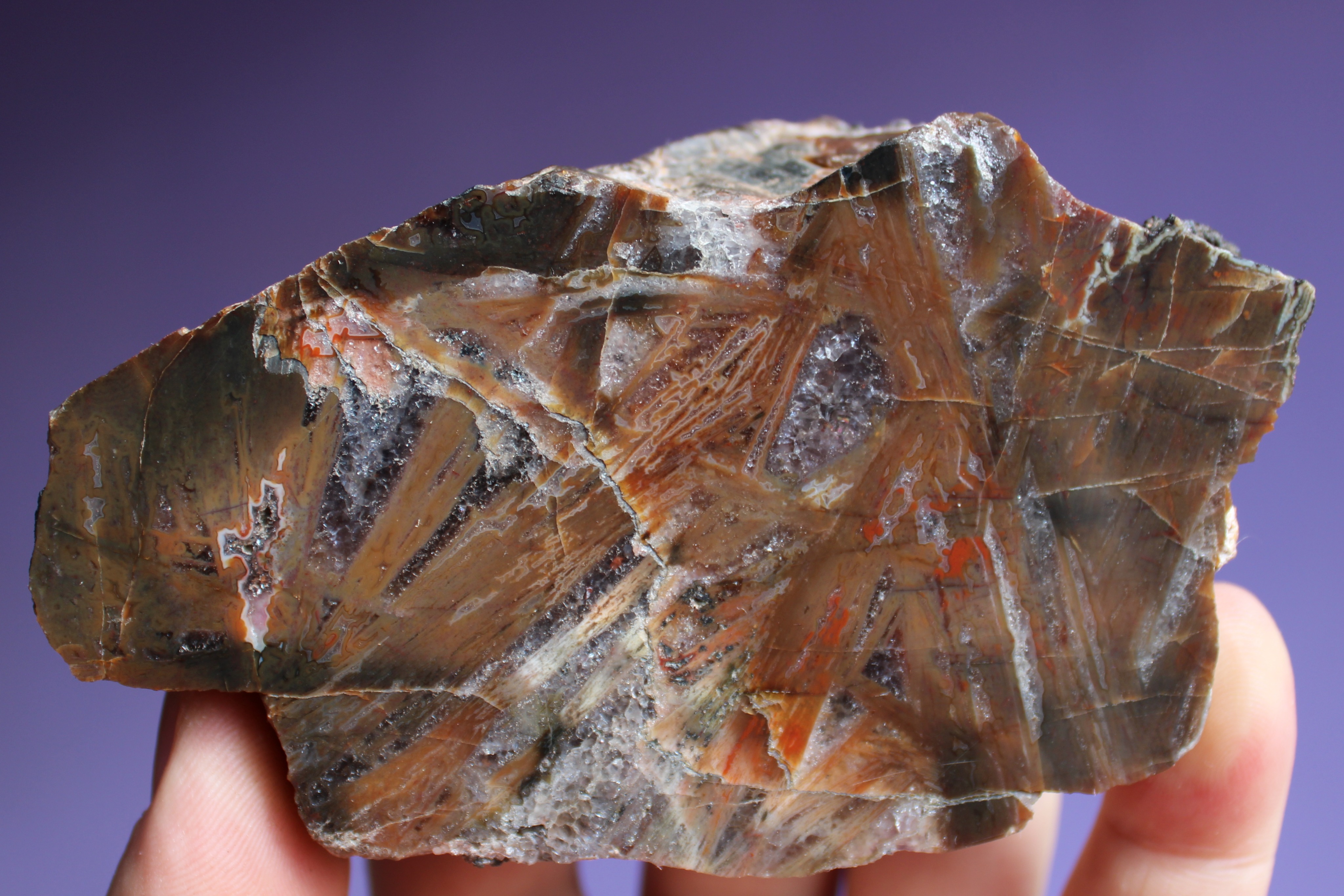 received_2396140463867943