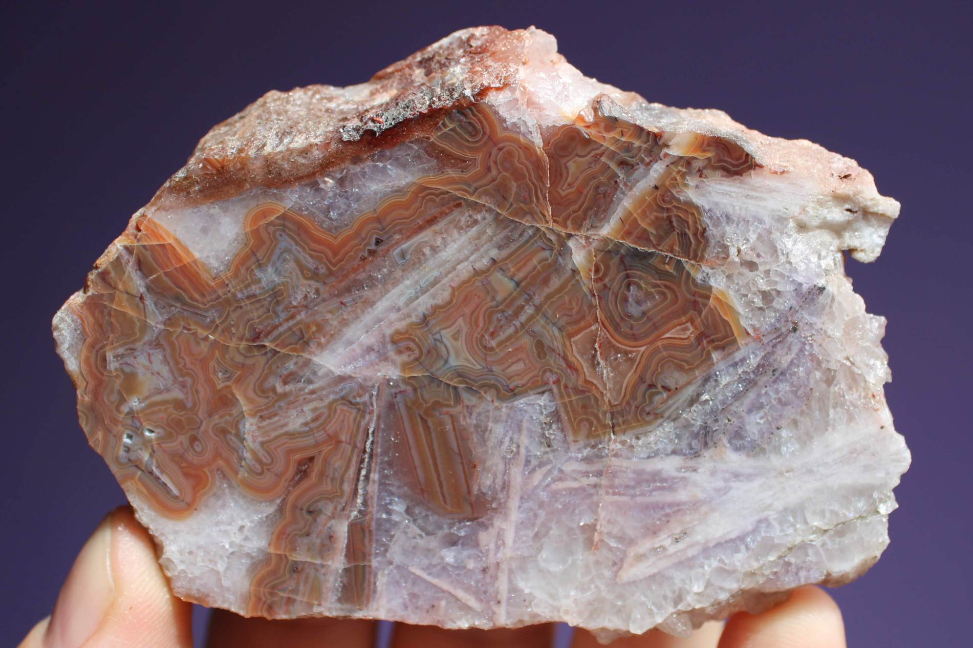 received_319289570124983