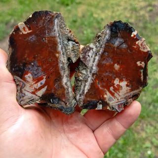 Achát z Horní Halže v Krušných horách. #czecrocks.cz#mineraly #krusnehory#geology #mineral