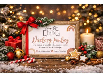 Christmas gift voucher with festive decorations