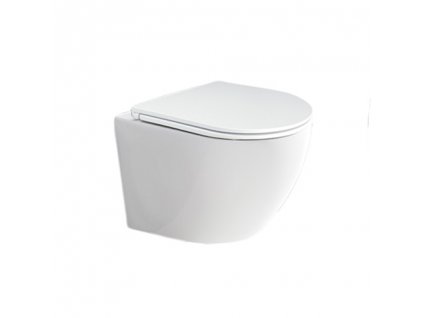 WC závěsné kapotované, RIMLESS, 490x370x360, keramické, včetně wc sedátka | czkoupelna.cz