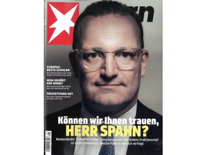 magazin Stern DE 2025029