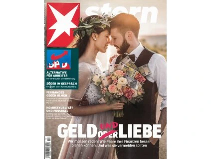 magazin Stern DE 2026013